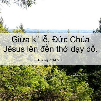 Picture 06 - Giăng 7:14 VIE - Giữa k” lễ, Đức Chúa Jêsus lên đền - Bible Verse Picture
