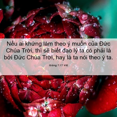 Picture 06 - Giăng 7:17 VIE - Nếu ai khứng làm theo ý muốn của Đức - Bible Verse Picture