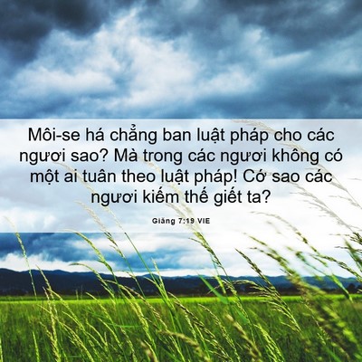 Picture 06 - Giăng 7:19 VIE - Môi-se há chẳng ban luật pháp cho các - Bible Verse Picture