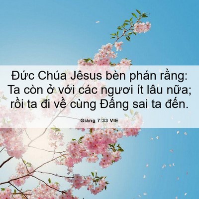 Picture 06 - Giăng 7:33 VIE - Đức Chúa Jêsus bèn phán rằng: Ta còn - Bible Verse Picture
