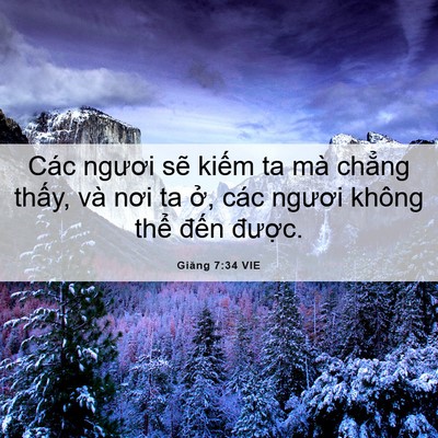 Picture 06 - Giăng 7:34 VIE - Các ngươi sẽ kiếm ta mà chẳng thấy, - Bible Verse Picture