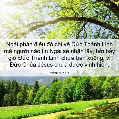 Picture 06 - Giăng 7:39 VIE - Ngài phán điều đó chỉ về Đức Thánh - Bible Verse Picture