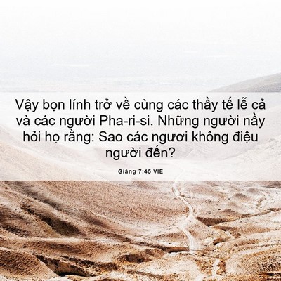 Picture 06 - Giăng 7:45 VIE - Vậy bọn lính trở về cùng các thầy - Bible Verse Picture
