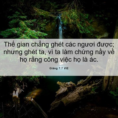 Picture 06 - Giăng 7:7 VIE - Thế gian chẳng ghét các ngươi được; - Bible Verse Picture
