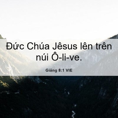 Picture 06 - Giăng 8:1 VIE - Đức Chúa Jêsus lên trên núi - Bible Verse Picture