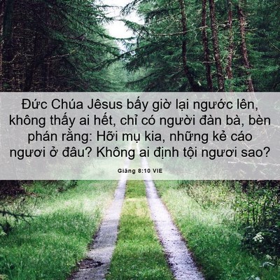 Picture 06 - Giăng 8:10 VIE - Đức Chúa Jêsus bấy giờ lại ngước - Bible Verse Picture