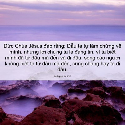 Picture 06 - Giăng 8:14 VIE - Đức Chúa Jêsus đáp rằng: Dẫu ta tự - Bible Verse Picture
