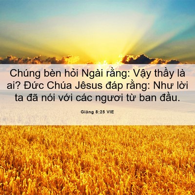 Picture 06 - Giăng 8:25 VIE - Chúng bèn hỏi Ngài rằng: Vậy thầy là - Bible Verse Picture