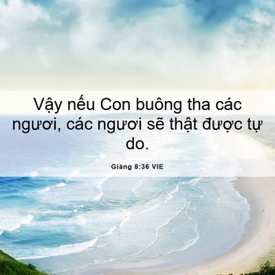 Picture 06 - Giăng 8:36 VIE - Vậy nếu Con buông tha các ngươi, các - Bible Verse Picture