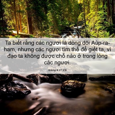 Picture 06 - Giăng 8:37 VIE - Ta biết rằng các ngươi là dòng dõi - Bible Verse Picture