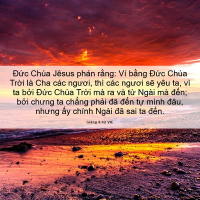 Picture 06 - Giăng 8:42 VIE - Đức Chúa Jêsus phán rằng: Ví bằng - Bible Verse Picture