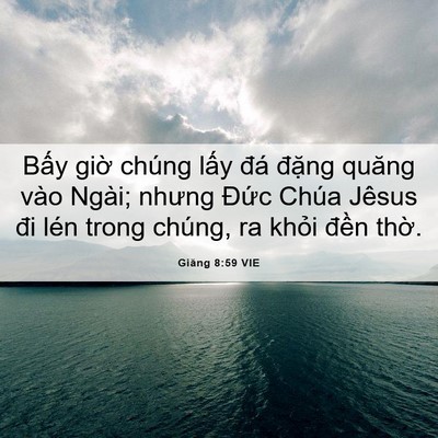Picture 06 - Giăng 8:59 VIE - Bấy giờ chúng lấy đá đặng quăng vào - Bible Verse Picture
