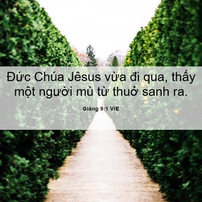 Picture 06 - Giăng 9:1 VIE - Đức Chúa Jêsus vừa đi qua, thấy một - Bible Verse Picture