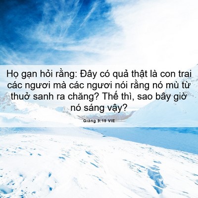 Picture 06 - Giăng 9:19 VIE - Họ gạn hỏi rằng: Đây có quả thật - Bible Verse Picture