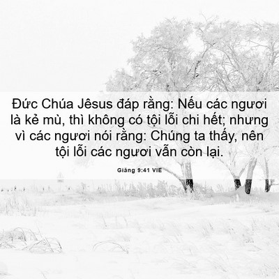 Picture 06 - Giăng 9:41 VIE - Đức Chúa Jêsus đáp rằng: Nếu các - Bible Verse Picture