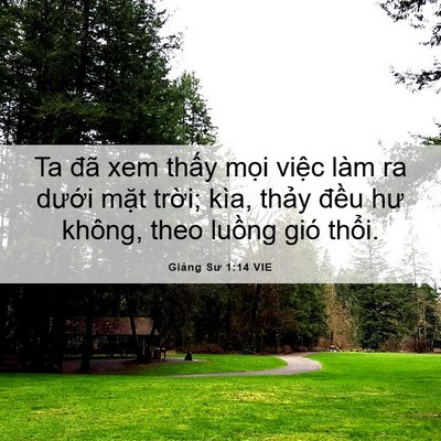 Picture 06 - Giảng Sư 1:14 VIE - Ta đã xem thấy mọi việc làm ra dưới - Bible Verse Picture