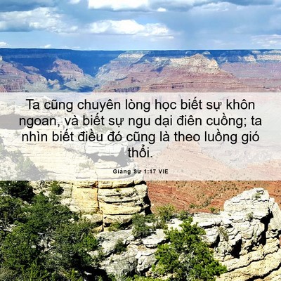 Picture 06 - Giảng Sư 1:17 VIE - Ta cũng chuyên lòng học biết sự khôn - Bible Verse Picture