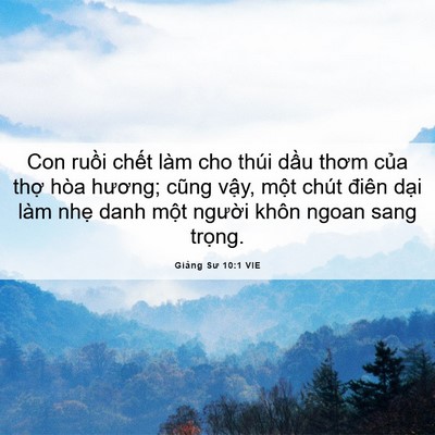 Picture 06 - Giảng Sư 10:1 VIE - Con ruồi chết làm cho thúi dầu thơm - Bible Verse Picture