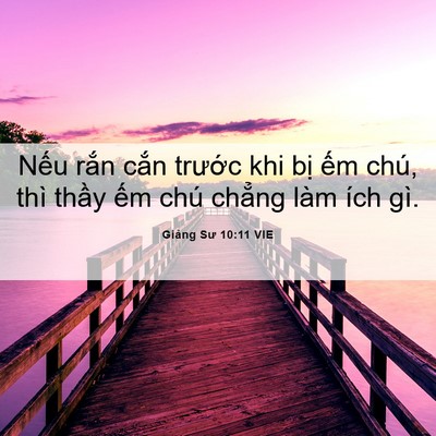 Picture 06 - Giảng Sư 10:11 VIE - Nếu rắn cắn trước khi bị ếm chú, - Bible Verse Picture