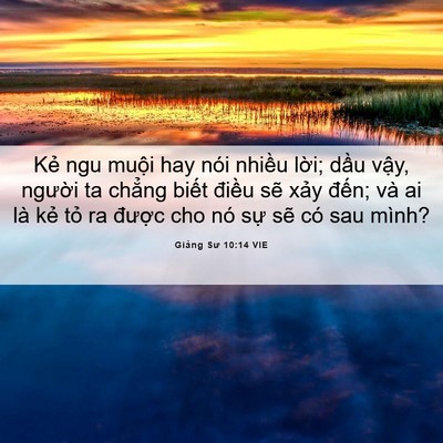 Picture 06 - Giảng Sư 10:14 VIE - Kẻ ngu muội hay nói nhiều lời; dầu - Bible Verse Picture