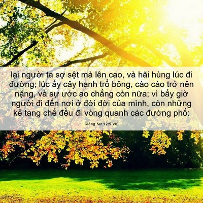 Picture 06 - Giảng Sư 12:5 VIE - lại người ta sợ sệt mà lên cao, và - Bible Verse Picture