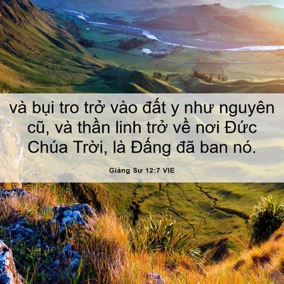 Picture 06 - Giảng Sư 12:7 VIE - và bụi tro trở vào đất y như nguyên - Bible Verse Picture