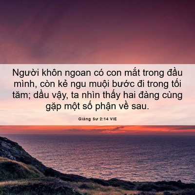 Picture 06 - Giảng Sư 2:14 VIE - Người khôn ngoan có con mắt trong đầu - Bible Verse Picture