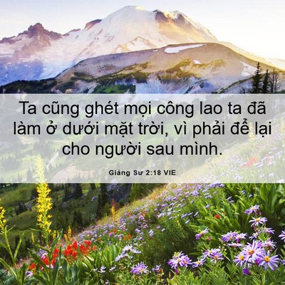 Picture 06 - Giảng Sư 2:18 VIE - Ta cũng ghét mọi công lao ta đã làm ở - Bible Verse Picture