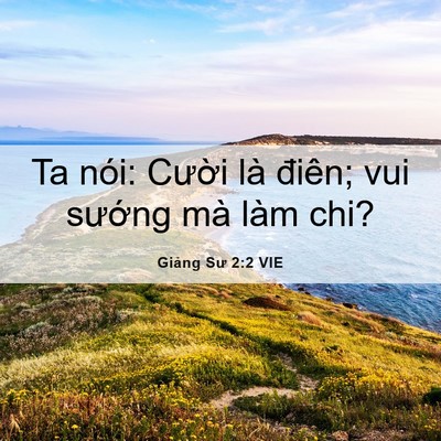 Picture 06 - Giảng Sư 2:2 VIE - Ta nói: Cười là điên; vui sướng mà - Bible Verse Picture