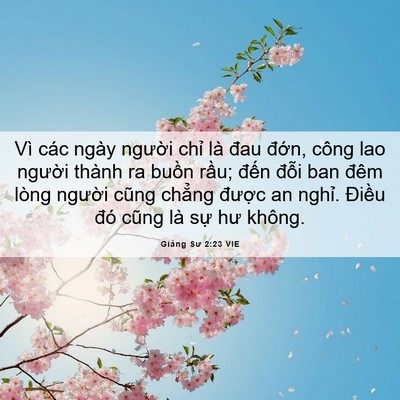Picture 06 - Giảng Sư 2:23 VIE - Vì các ngày người chỉ là đau đớn, - Bible Verse Picture