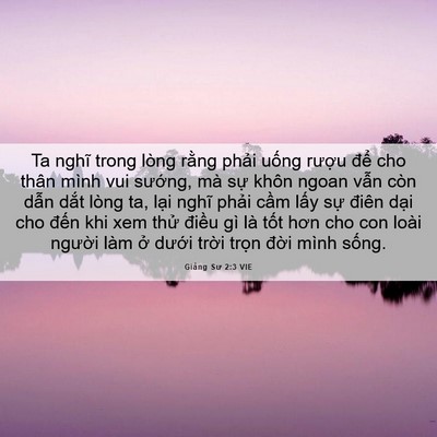 Picture 06 - Giảng Sư 2:3 VIE - Ta nghĩ trong lòng rằng phải uống rượu - Bible Verse Picture