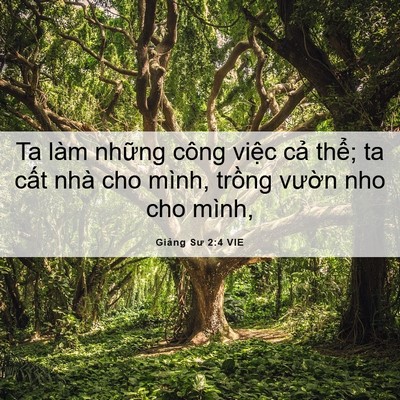 Picture 06 - Giảng Sư 2:4 VIE - Ta làm những công việc cả thể; ta cất - Bible Verse Picture