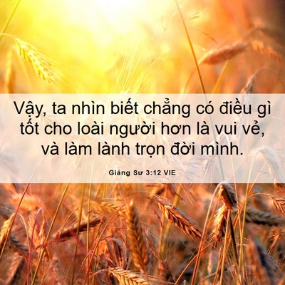 Picture 06 - Giảng Sư 3:12 VIE - Vậy, ta nhìn biết chẳng có điều gì - Bible Verse Picture