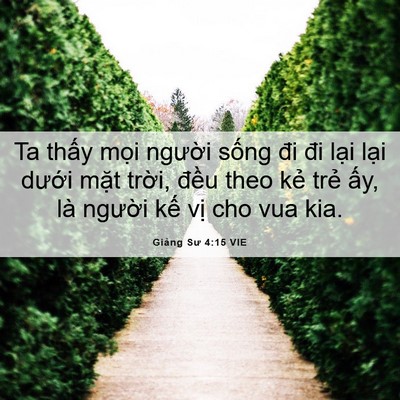 Picture 06 - Giảng Sư 4:15 VIE - Ta thấy mọi người sống đi đi lại - Bible Verse Picture