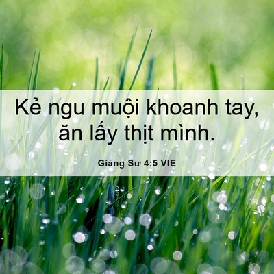Picture 06 - Giảng Sư 4:5 VIE - Kẻ ngu muội khoanh tay, ăn lấy thịt - Bible Verse Picture