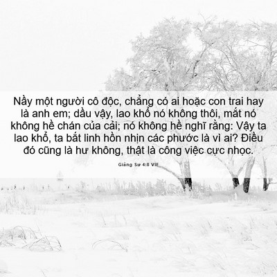 Picture 06 - Giảng Sư 4:8 VIE - Nầy một người cô độc, chẳng có ai - Bible Verse Picture