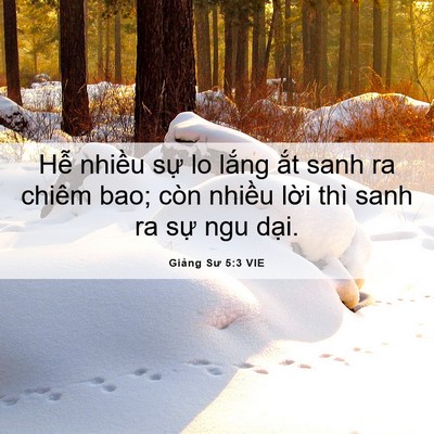 Picture 06 - Giảng Sư 5:3 VIE - Hễ nhiều sự lo lắng ắt sanh ra chiêm - Bible Verse Picture