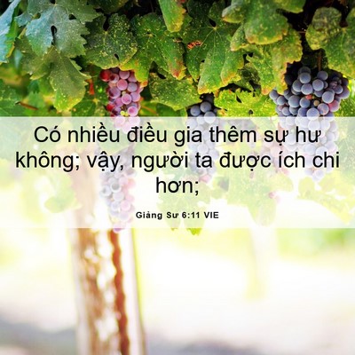 Picture 06 - Giảng Sư 6:11 VIE - Có nhiều điều gia thêm sự hư không; - Bible Verse Picture