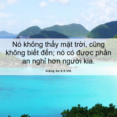 Picture 06 - Giảng Sư 6:5 VIE - Nó không thấy mặt trời, cũng không - Bible Verse Picture