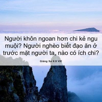 Picture 06 - Giảng Sư 6:8 VIE - Người khôn ngoan hơn chi kẻ ngu muội? - Bible Verse Picture
