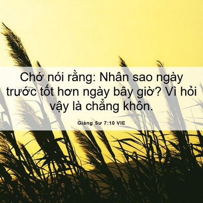 Picture 06 - Giảng Sư 7:10 VIE - Chớ nói rằng: Nhân sao ngày trước tốt - Bible Verse Picture