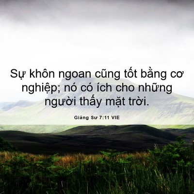Picture 06 - Giảng Sư 7:11 VIE - Sự khôn ngoan cũng tốt bằng cơ nghiệp; - Bible Verse Picture