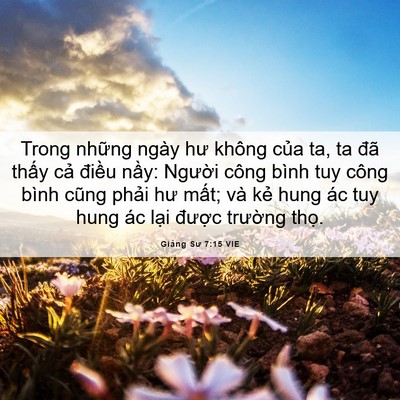 Picture 06 - Giảng Sư 7:15 VIE - Trong những ngày hư không của ta, ta đã - Bible Verse Picture