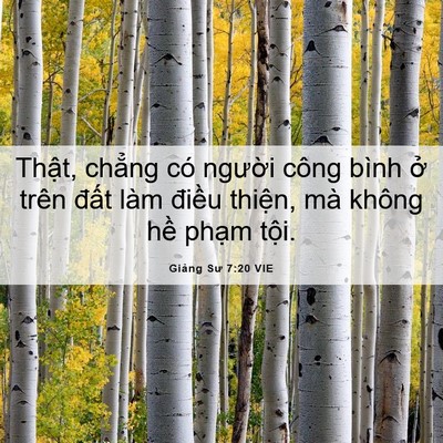 Picture 06 - Giảng Sư 7:20 VIE - Thật, chẳng có người công bình ở - Bible Verse Picture