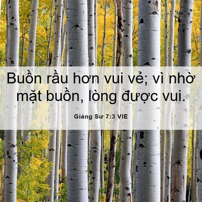 Picture 06 - Giảng Sư 7:3 VIE - Buồn rầu hơn vui vẻ; vì nhờ mặt - Bible Verse Picture