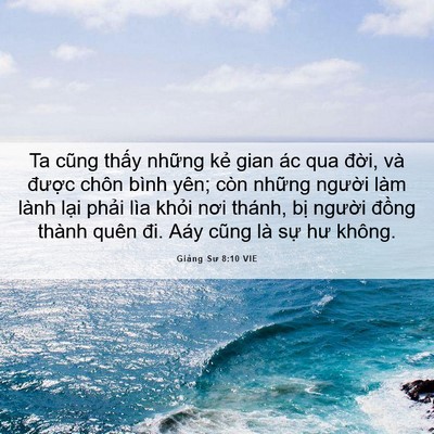 Picture 06 - Giảng Sư 8:10 VIE - Ta cũng thấy những kẻ gian ác qua đời, - Bible Verse Picture