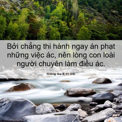 Picture 06 - Giảng Sư 8:11 VIE - Bởi chẳng thi hành ngay án phạt những - Bible Verse Picture