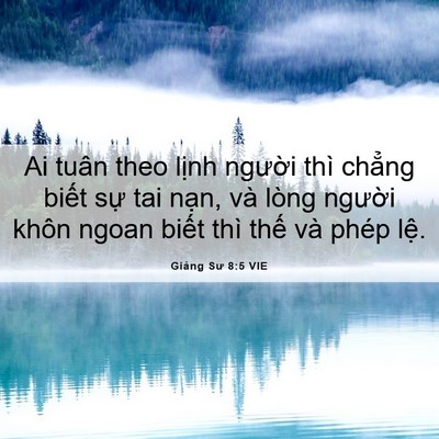 Picture 06 - Giảng Sư 8:5 VIE - Ai tuân theo lịnh người thì chẳng biết - Bible Verse Picture