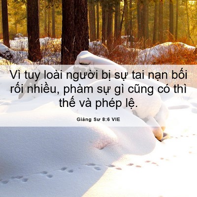 Picture 06 - Giảng Sư 8:6 VIE - Vì tuy loài người bị sự tai nạn bối - Bible Verse Picture