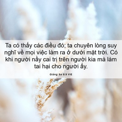 Picture 06 - Giảng Sư 8:9 VIE - Ta có thấy các điều đó; ta chuyên lòng - Bible Verse Picture